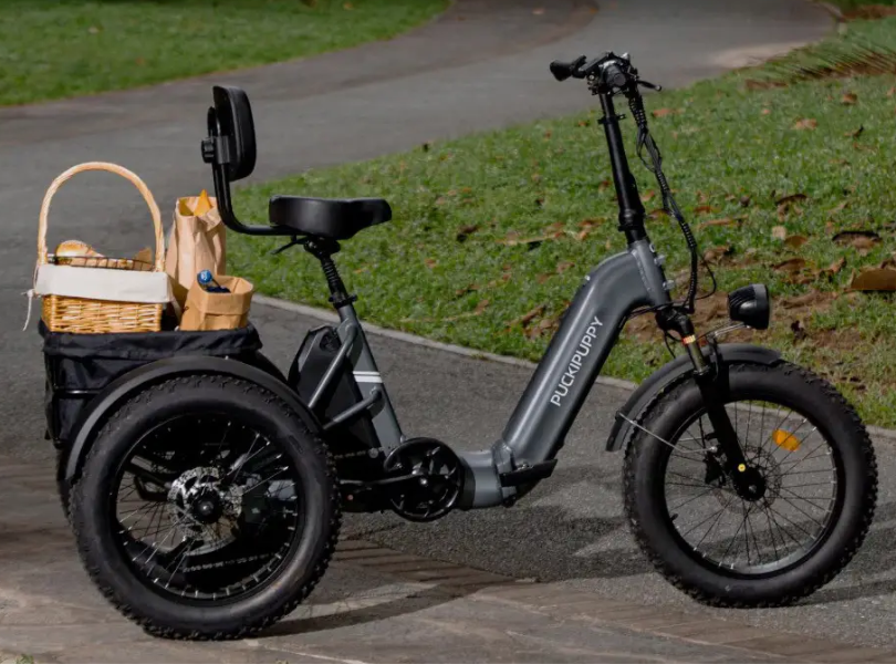 Puckipuppy Husky Plus E-Trike