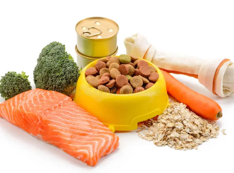 wild caught salmon dog food