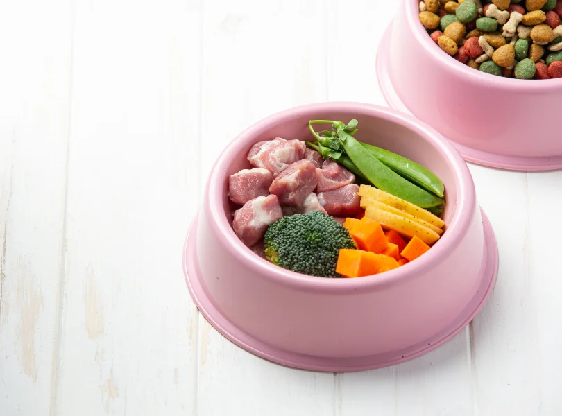 wild caught salmon dog food