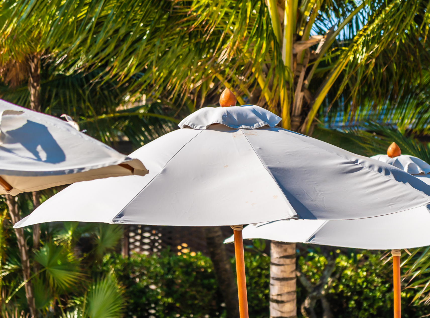 Crown Shades Top Picks for Outdoor Canopies